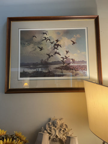 Geese picture
