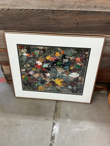 Picture - Fall Leaves in Water