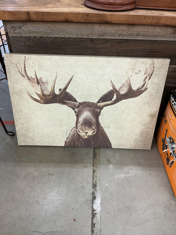 Picture - Moose