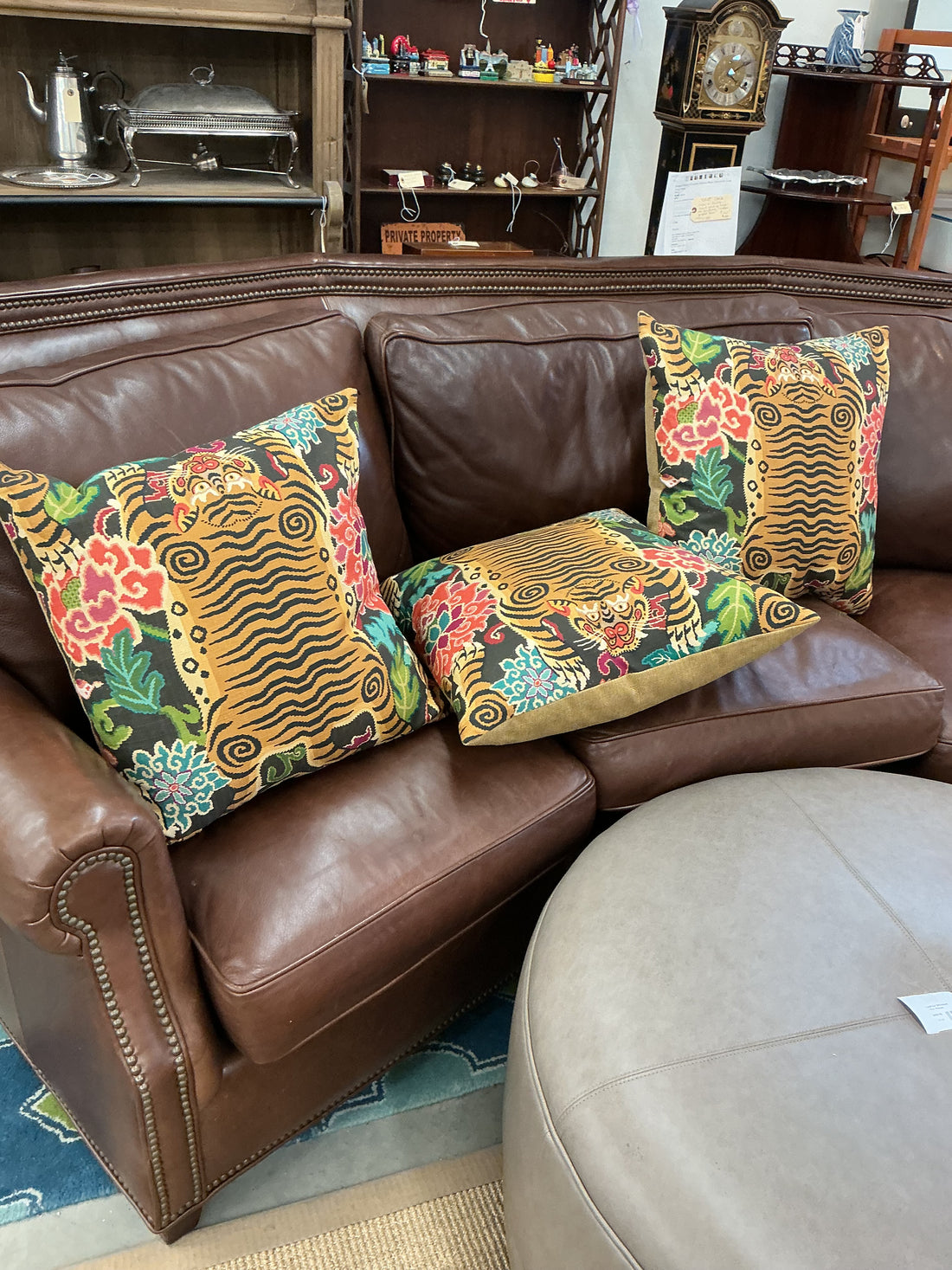 Tiger eye  Pillow (Tibet Tiger)