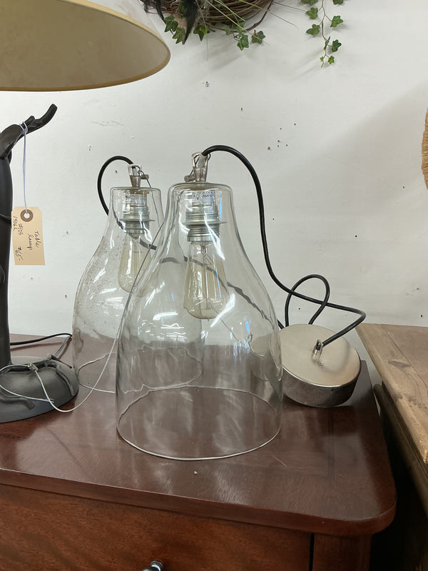 Pair of Pendant Lights