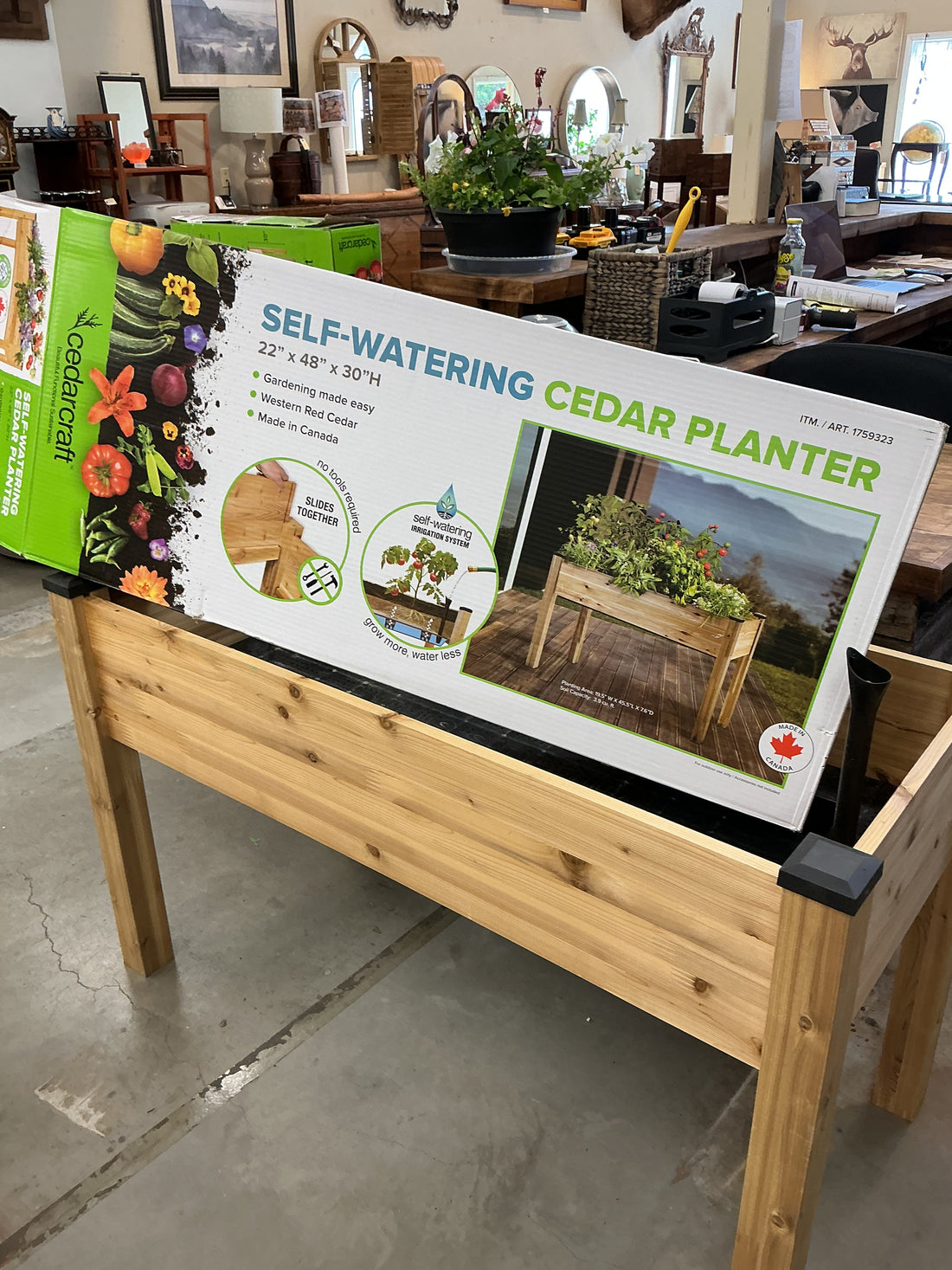 Self-Waterering Elevated Cedar Planter