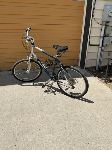 Raleigh SC40 (Sport Comfort) Bike XL 22 Inch