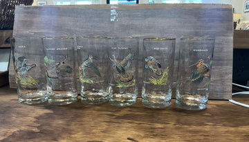 Ned Smith Game Bird Highball Glasses Set of 6 Gold Rim