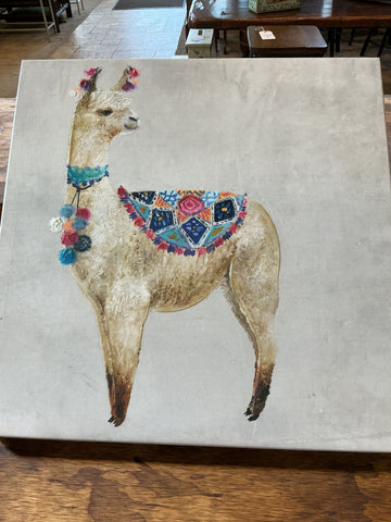 Llama picture on Canvas - 17.75" x 17.75"