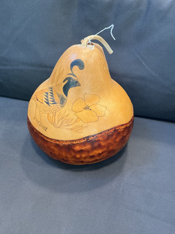 Stone Heat" gourd container by Ridge Kunzel