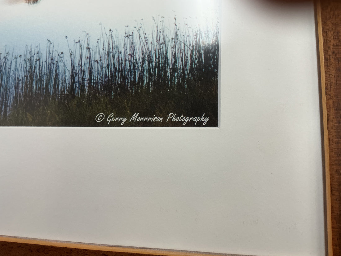 Wood River Valley Photograph by Gerry Morrison 27" x 21.5"