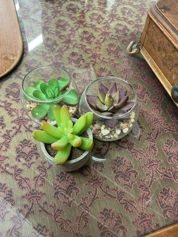 Set of 3 Faux Succulents