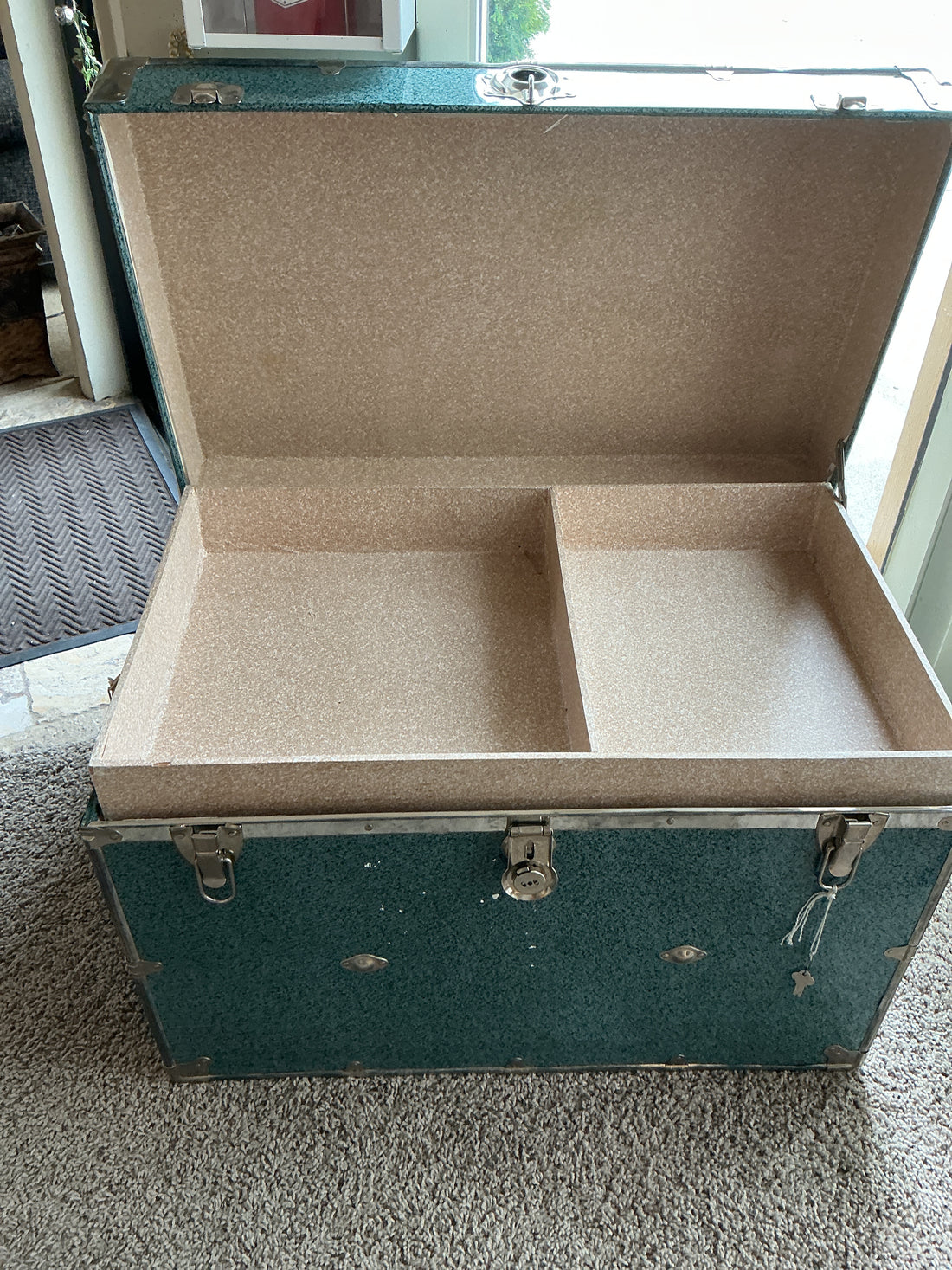 Trunk Blue/Green