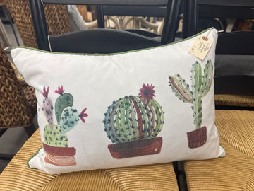 Cactus pillow