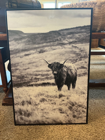 Highland Cow Framed Print, 25x38